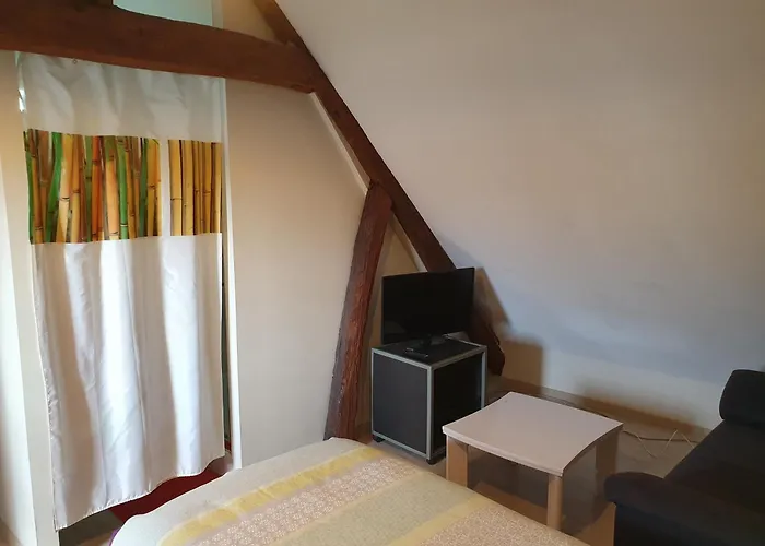 Gite Beauval Et Chateaux Chez Nathalie Kawamura